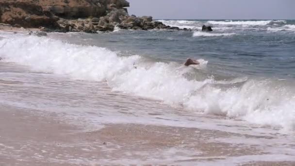 Ondas costeiras do mar a criança mergulha neles. — Vídeo de Stock
