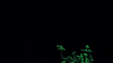 Parlak yeşil boya parçacıklarının filizlenmesi.