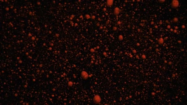 Le particelle fluorescenti volumetriche arancioni si muovono e cambiano su uno sfondo nero in movimento, transizione. — Video Stock