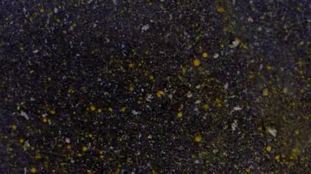 Gold sequins on a black background. Sparkling particles move chaotically. Christmas, New Years screensaver. — 图库视频影像