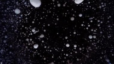 Beyaz parçacıklar rastgele hareket eder. Noel, yeni yıl ekran koruyucu. Siyah arkaplanda gümüş pullu yuvarlak renkli toplar..