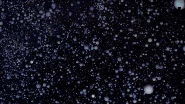 Le particelle bianche si muovono casualmente. Natale, Anno nuovo screensaver. Palline rotonde multicolori su sfondo nero con paillettes argentate. — Video Stock