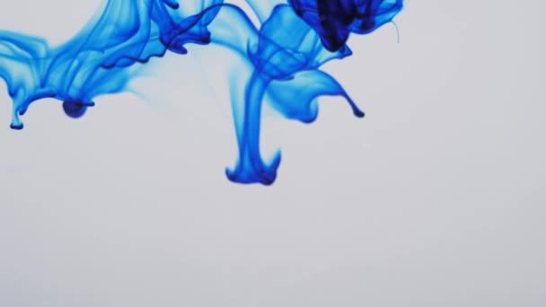 Spreading of blue paint in a liquid space. — Stock Video