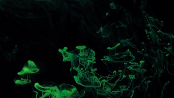 Зародышевые частицы светящихся цветов зеленой краски. — стоковое видео