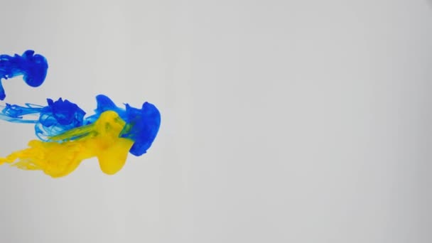 Het mengen van blauwe en gele kleuren op een witte achtergrond. Injectie van verf in een transparante ruimte. — Stockvideo