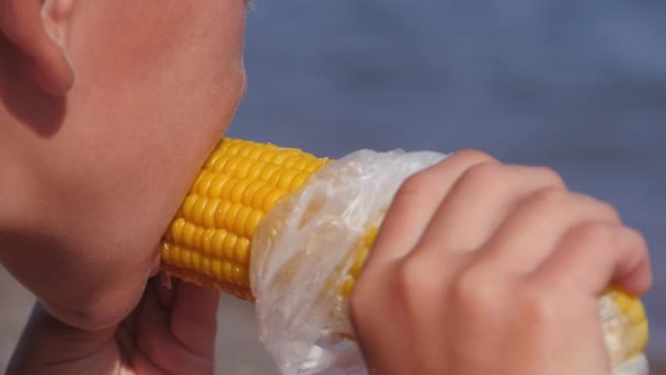 Child eats corn on the seashore. — Stock Video