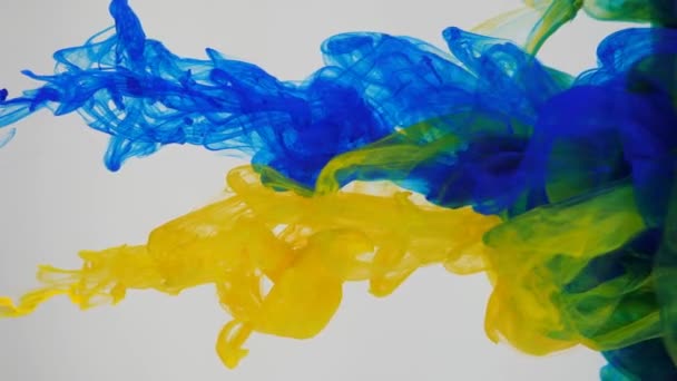 Mixing blue and yellow colors on a white background. Injection of paints into a transparent space. — Stock Video