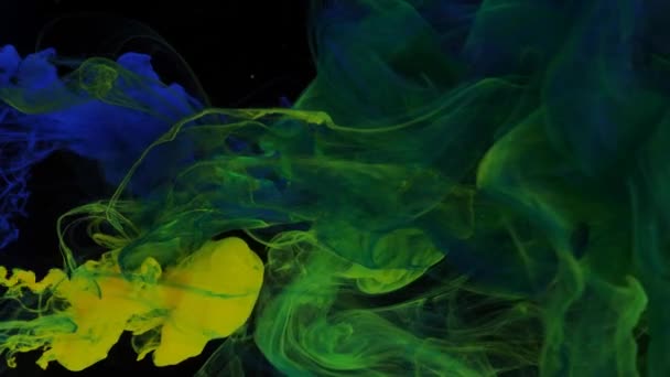 蓝色和黄色的流，绿色的油漆在黑色背景的透明空间中溶解. — 图库视频影像
