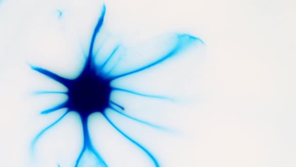 Κινούμενο φόντο αποτελούμενο από μπλε σωματίδια της τρέχουσας βαφής σε λευκό φόντο. — Αρχείο Βίντεο