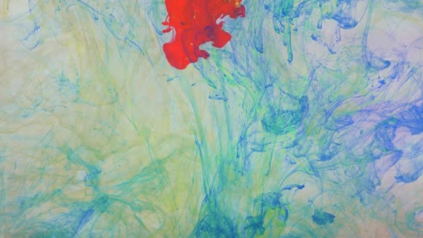 Liquid abstractions, the dissolution of blue, yellow, red and green paint in water. — Stock Video