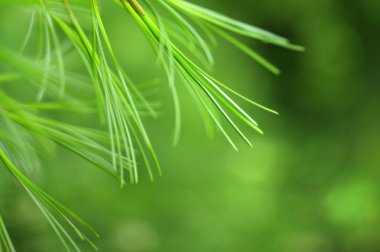 het meisje-tiener ziet er in schrijven-boek
