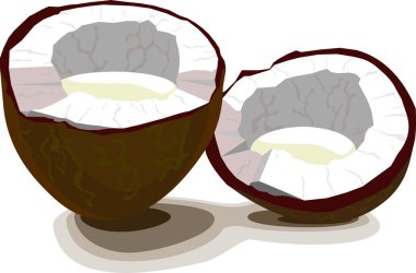 Hindistan cevizi yarısı