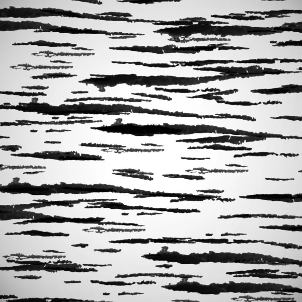zebra arka plan