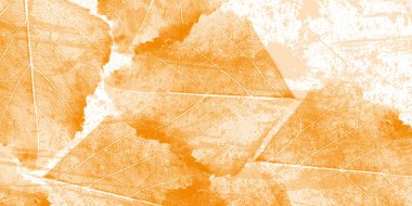 Şablon kuru sonbahar yaprakları.