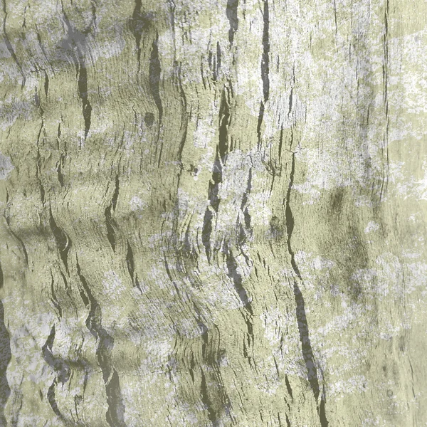 그런 지 나무 배경 — 스톡 사진