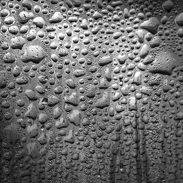 Drops texture — Stock Photo, Image