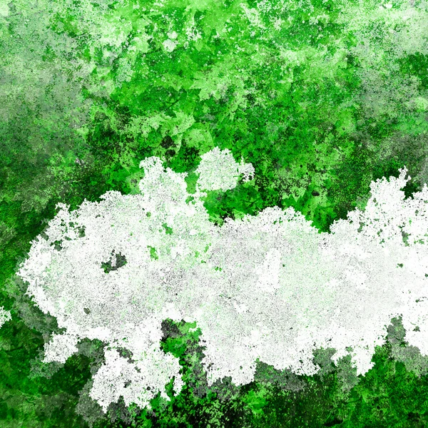 Yeşil yaprakları ve beyaz nokta — Stok fotoğraf