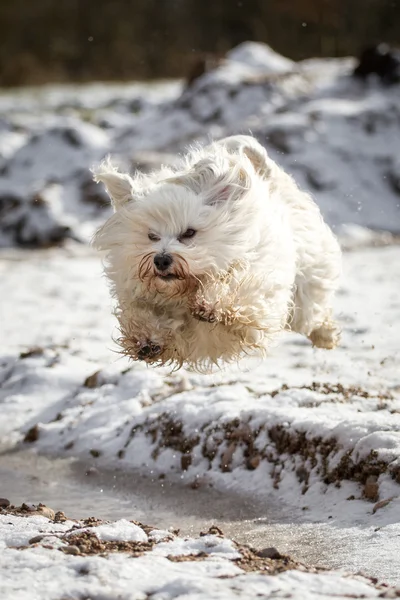 Stretched jump — Stock Photo, Image