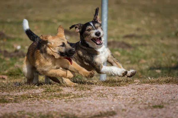 Schräglage — Stockfoto