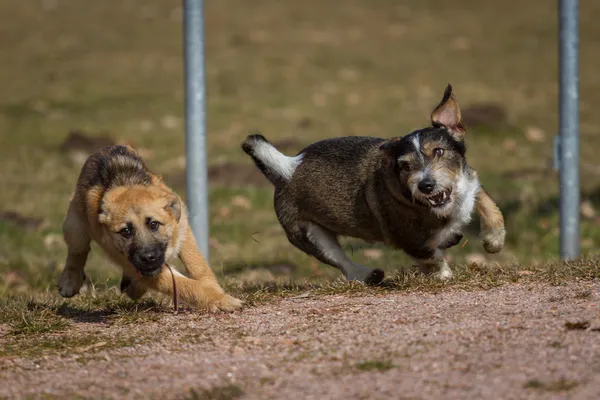 Zentrifugalkraft — Stockfoto