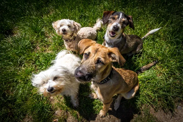 In attesa di ricompensa — Foto Stock