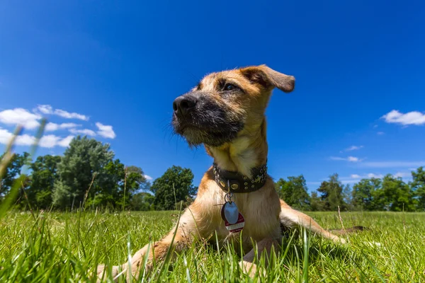 Tempo perfetto — Foto Stock