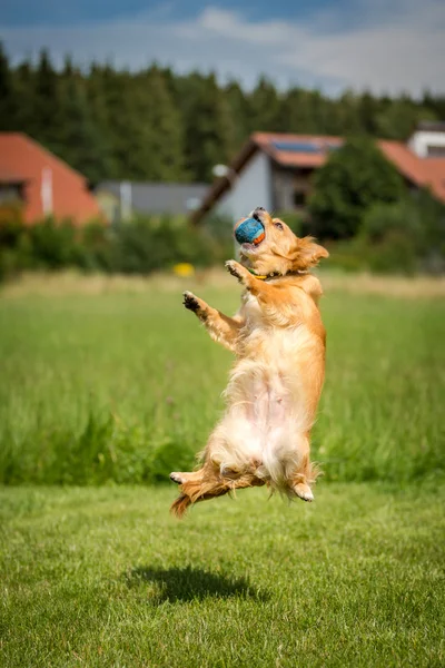 Liggende positie — Stockfoto