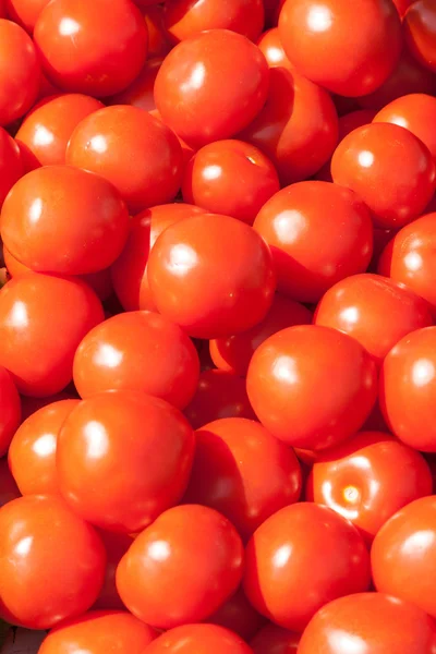 Mnoho čerstvé červené zralých rajčat — Stock fotografie