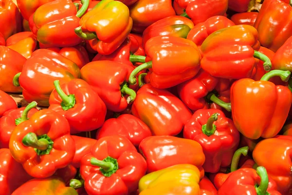 Många färsk röd paprika — Stockfoto
