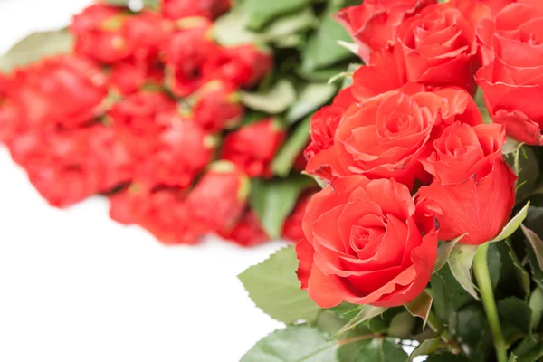 Bouquet of red roses for romantic gift background — Stock Photo, Image