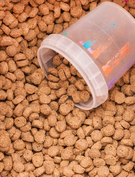 Alimenti per animali domestici a grana secca con vetro misurato — Foto Stock
