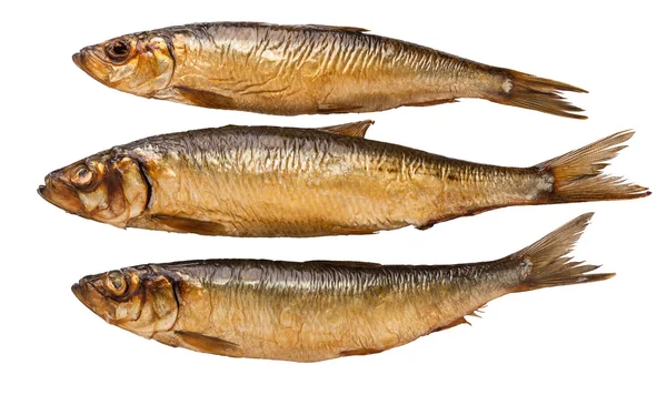 Brun rökt stammen fisk på vit bakgrund — Stockfoto