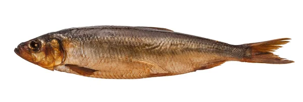 Brun rökt stammen fisk på vit bakgrund — Stockfoto