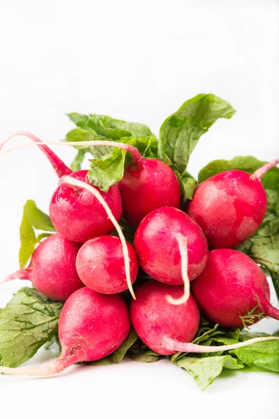 Bouquet de radis rouge frais avec feuille — Photo