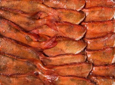 dondurulmuş karkas balık tuğla ticaret ve arka plan