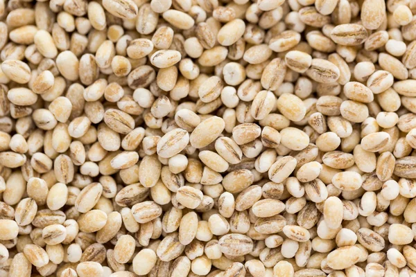 Small dry seeds of cereals in background — Stock Photo, Image