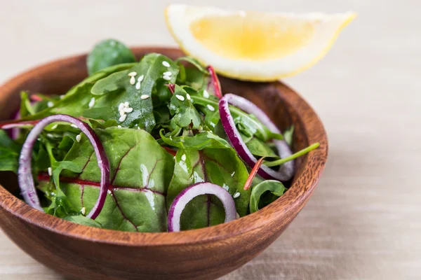 Fresh salad from leafs of beet, spinach — Stock Photo, Image