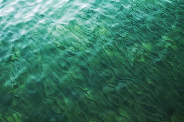 湖のほとりの緑の波 — ストック写真