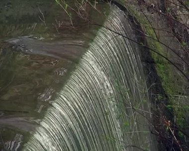 şelale Creek Şehir Parkı