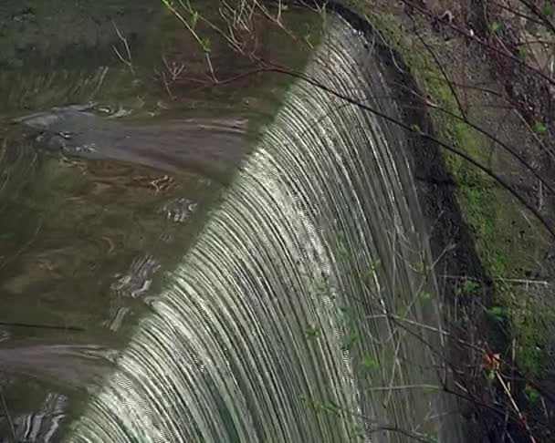 Waterval op een kreek in het stadspark — Stockvideo