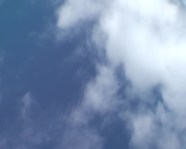 Nuages blancs dans le ciel — Video