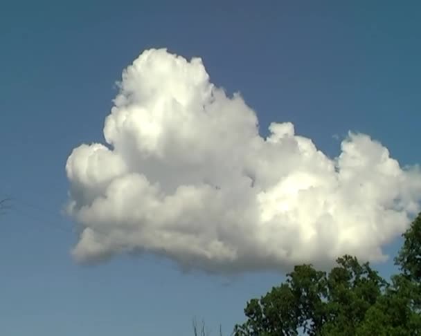 Nube blanca en el cielo azul — Vídeo de stock