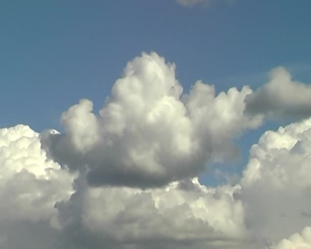 Weiße Wolken am Himmel — Stockvideo