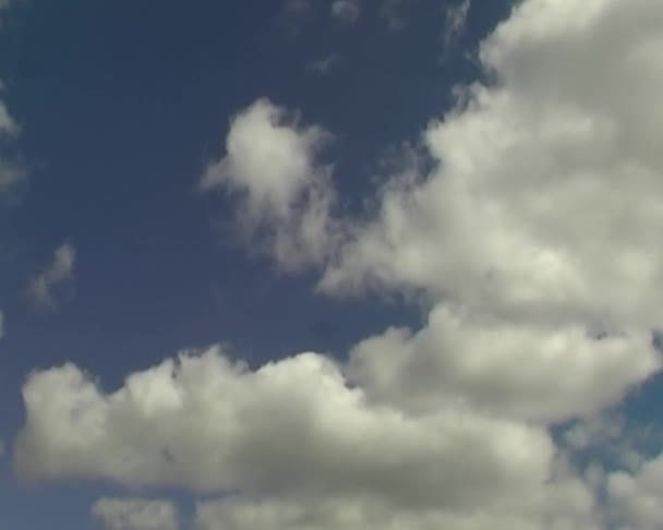 Nuvens brancas no céu azul — Vídeo de Stock