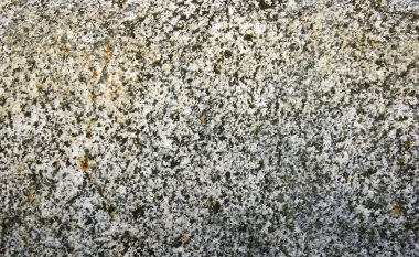 granite surface as background