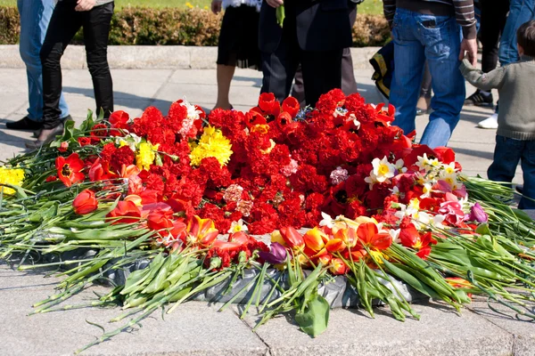 Giorno di vittoria commemorativo — Foto Stock