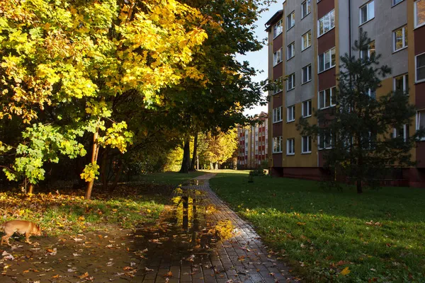 Pusty Zaułek Pobliżu Budynku Mieszkalnego Deszczowy Jesienny Dzień — Zdjęcie stockowe