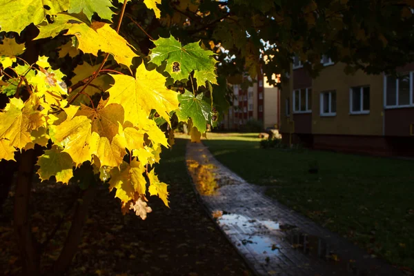 Callejón Vacío Cerca Del Edificio Residencial Día Lluvioso Otoño —  Fotos de Stock