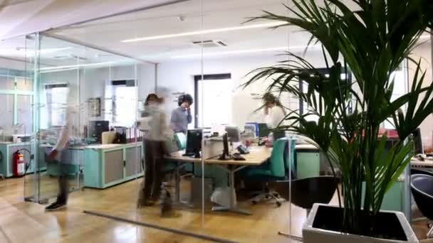 Jeunes professionnels attrayants au travail dans un bureau moderne occupé — Video