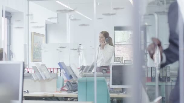 Fashionable young business team at work in a stylish modern office — Stock Video